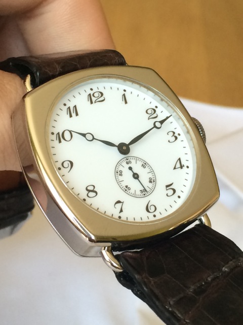 Number 6 Brillante Caiman 1